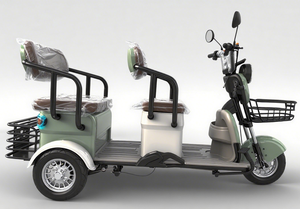 Triciclo Eléctrico de 600W con 48V 20A y 50km de Autonomía Extendida, Estructura de Acero Estable, Perfecto para Desplazamientos y Recreación de Adultos - Product Image 6