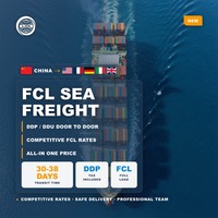 Agent d'expédition Amazon FBA avec livraison ponctuelle, de porte à port de Shenzhen vers les États-Unis, la Nouvelle-Zélande, la Finlande, le Chili, le Mexique, l'Italie