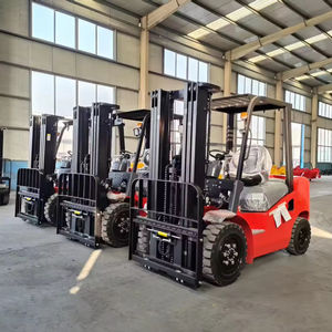 Montacargas LONKING FD25, Opción Económica y Confiable, Duradero y de Fácil Operación, Ayuda al Flujo Interno en los Sectores del Embalaje y Alimentario - Product Image 3