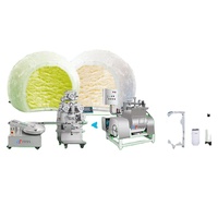 Nouvelle machine à encruster les mochi automatique 220V, prix usine Yucheng, contrôle tactile, SUS304, grande capacité, ligne industrielle haute performance