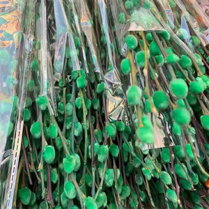 K-0045 Einzels tiele Großhandel Fabrik konserviert bunte Weide getrocknete natürliche Blume gelb rote Weide für Dekor - Product Image 2