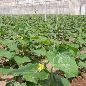 Serre économique avec filet d'ombrage durable et abordable, résistant aux UV, pour légumes, fruits et fleurs - Product Image 5