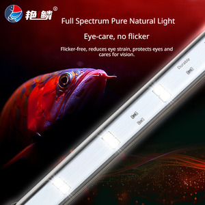 Aquariumverlichting maakt je favoriete visjes glanzender. - Product Image 5