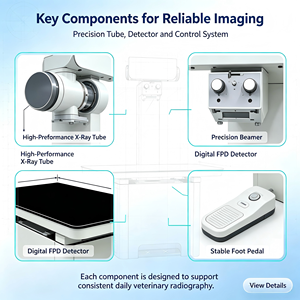 Détecteur numérique filaire à panneau plat pour diagnostic vétérinaire – Machine de radiographie numérique de bureau pour animaux de compagnie - Product Image 3