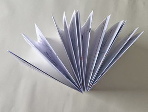 Stampa Personalizzata di Manuali Utente, Guida Ecologica, Volantini, Opuscoli Istruttivi, Brochure <span class=keywords><strong>Pieghevoli</strong></span> in 8 Parti, Stampa su Richiesta - Product Image 4