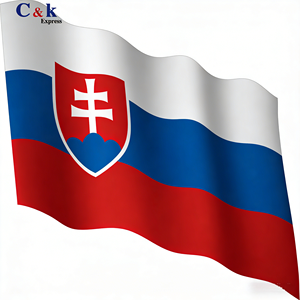 Экспресс-доставка <span class=keywords><strong>DHL</strong></span>, UPS, FedEx, TNT из Китая в США, Великобританию, ЕС, Австралию, ОАЭ, Канаду. Доставка от двери до двери. Дешевая и надежная грузоперевозка. - Product Image 6