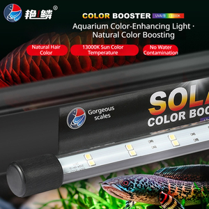 Aquariumverlichting maakt je favoriete visjes glanzender. - Product Image 6