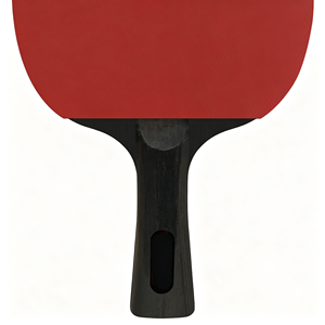 Raquette de tennis de table professionnelle, écologique et durable, en bois massif monocouche, caoutchouc à picots longs en carbone, éponge de 1,8 mm, poignée horizontale - Product Image 2
