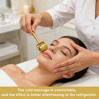 Rouleau de massage portable à glace pour la beauté à domicile, stimulant la croissance des cheveux et de la barbe, masseur du cuir chevelu, du corps, du visage et des yeux, rouleau de soin pour la peau de salon