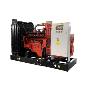 10kW 20kW 30kW 50kW 80kW 150 kw 200kW 250kW LPG natural Gas Generator for Electric Power Generation