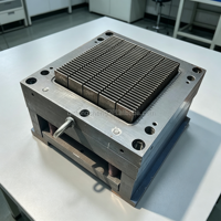 Molde de Inyección de Alta Precisión para Filtros de Aire de Automóviles, Molde de Inyección Multicavidad para la Fabricación de Carcasas de Filtros de Automóviles