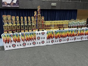 Recuerdo Deportivo, Trofeo de Plástico de la Liga de Campeones, Precio al por Mayor, Trofeos de Plástico Brillantes y Atractivos para <span class=keywords><strong>Ganadores</strong></span> - Product Image 3