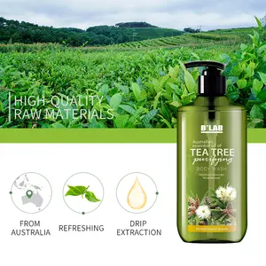 Lavage de corps organique naturel Oem de marque privée avec des rafraîchissements de haute qualité Gel de douche de lavage de corps d'arbre à thé