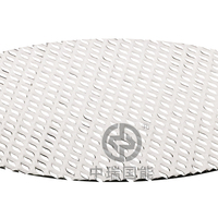 Anode en titane revêtue d'iridium ruthénium pour électrolyse/plaque d'anode pour eau électrolytique/maille d'électrode électrochimique
