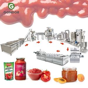 Machine de fabrication continue de sauce ketchup, usine de transformation de pâte de tomate moyenne, 5 tonnes par heure, 1000 kg - Product Image 1