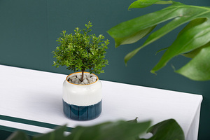 Pots de jardinières succulentes en céramique, artisanat en porcelaine de Style japonais comme cadeau pour maman, sœur, tante - Product Image 3
