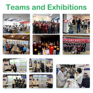 Gıda katkısı nohut proteini izole <span class=keywords><strong>ISO</strong></span> sertifikalı nohut izole <span class=keywords><strong>protein</strong></span> tozu - Product Image 5