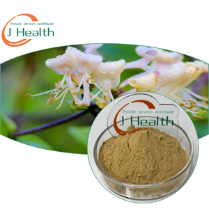 Bubuk ekstrak Coleus Forskohlii langsung dari pabrik-10% <span class=keywords><strong>Forskolin</strong></span> untuk harga grosir untuk penggunaan Kesehatan - Product Image 1
