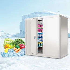 Nuova versione di fabbrica cella frigorifera a congelamento rapido Walk In Freezer e Cooler congelatore per celle frigorifere surgelate In vendita