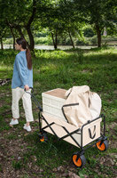 Chariot de plage pour jardin extérieur Chariot de camping pliant pour pêche Wagon Portable Shopping tour Bagages à main Chariot Chariots