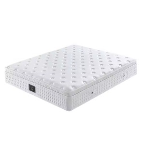 <span class=keywords><strong>Hot</strong></span> Bán Mềm Mùa Xuân Nệm Cho Phòng Ngủ Và Ngoài Hiện Đại Đôi Kích Thước Mật Độ Cao Bộ Nhớ Bọt Nệm Cho Khách Sạn 5 Sao - Product Image 1