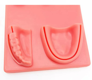Modello di sutura medica in gomma orale per la pratica didattica modello di assistenza al Trauma per la pratica degli studenti di medicina - Product Image 6