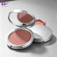 Nouvelle Palette de Fards à Joues en Poudre Brillants et Imperméables, Base Argentée, Étiquette Privée, Végane, Haute Pigmentation, Fini Naturel, Logo Personnalisé