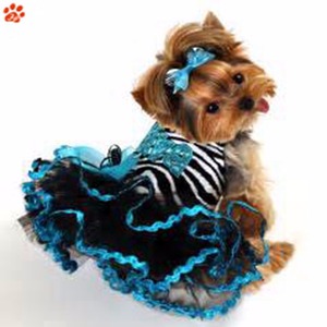 Perro de mascota ropa de talla fiesta cachorro perro vestido - Product Image 3