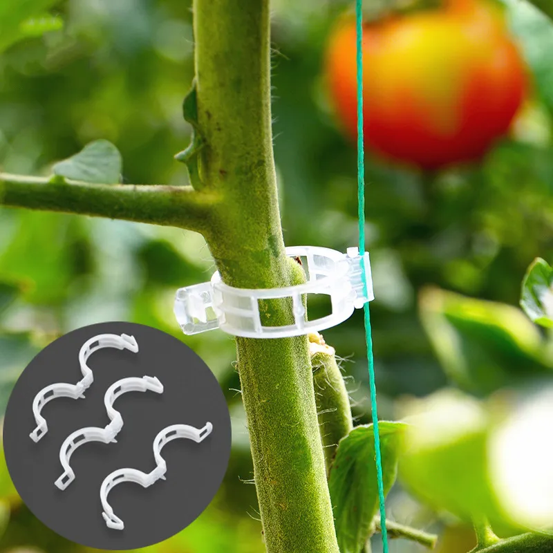 100 STÜCKE Tomaten Clips Trellis Gemüse Schnur Pflanzen Unterstützung WS6 