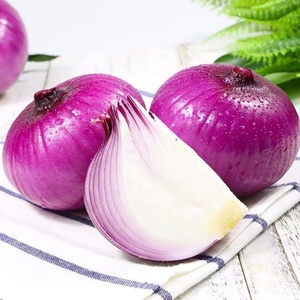 <span class=keywords><strong>Oignon</strong></span> rouge frais de ferme de Shandong d'<span class=keywords><strong>oignon</strong></span> de bonne qualité pour la Offre Spéciale - Product Image 4