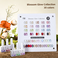 ZRKGEL 30 Couleurs Professionnelles Vernis Gel Magnétique Effet Œil de Chat Velours Haute Pigmentation Longue Durée OEM ODM Vente en Gros