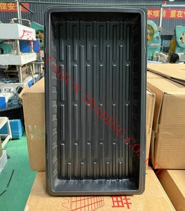 Vassoi <span class=keywords><strong>per</strong></span> Semina in Fibra di Vetro e Vetro Riutilizzabili, Durevoli ed Ecologici <span class=keywords><strong>per</strong></span> Giardinaggio Domestico, Germinazione di <span class=keywords><strong>Fiori</strong></span> e Verdure - Product Image 4