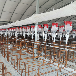 PH Large Capacity Industrial Automatic Gestation Stall Pen Pig Feed Line System | Hog <b>Farm</b> Livestock Conveyor Feeding Equipment - Product Image 6