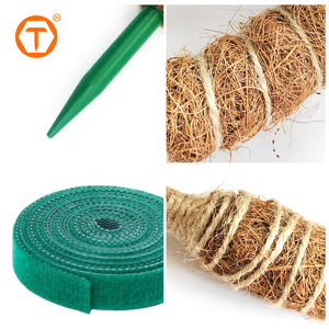 70 في حديقة النباتات الخضراء عصا القطب دعم حصص جوز الهند الألياف البني الطحلب انحناء أقطاب للمتسلقين بوعاء - Product Image 3