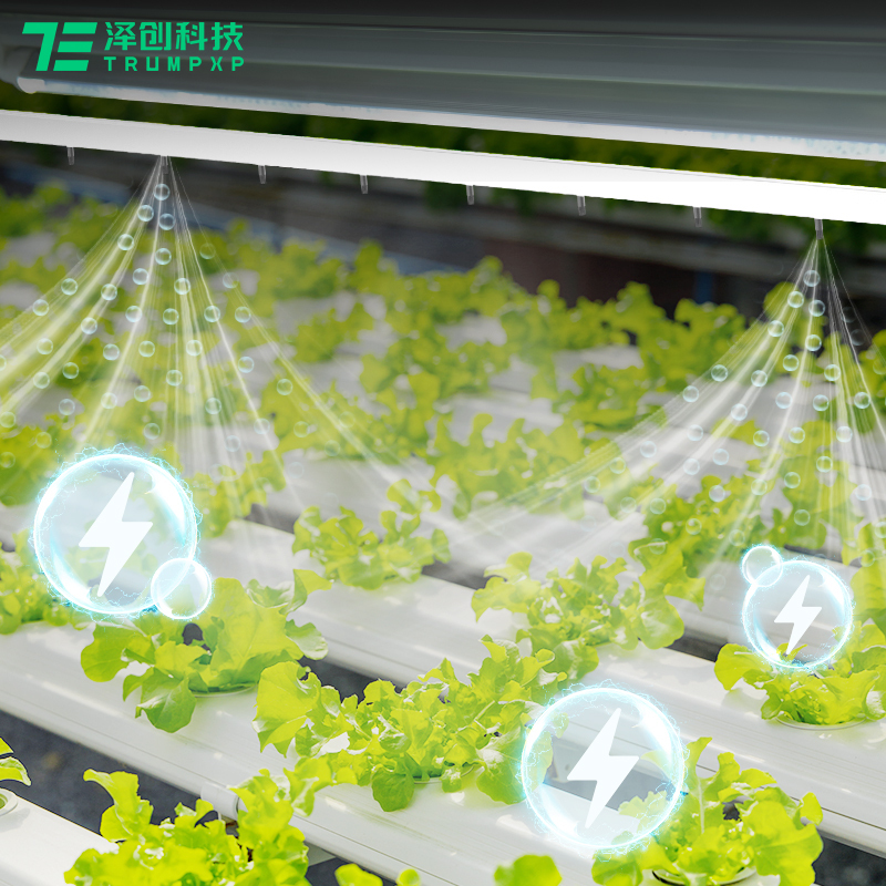 2024 Popular Design Plant Grow Lamp