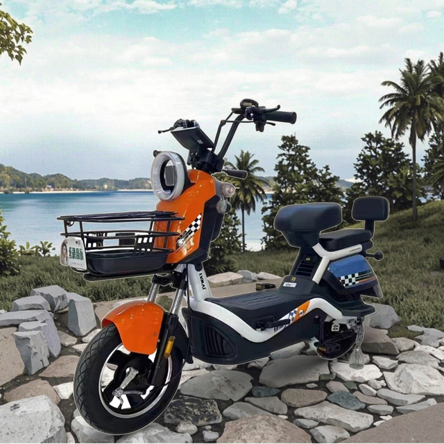 Direct Factory Supply Latest Model Two-Seater Electric City Bike Kit Electric Dirt Bike From Chinese Supplier