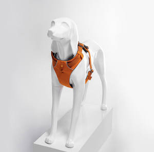 Nouveau <span class=keywords><strong>Mannequin</strong></span> de Poitrine et de Dos pour Chien en Fibre de Verre Détachable, Modèle G9 Entièrement Fait Main pour Vêtements pour Animaux et Présentations en Direct Dugao Dog Show - Product Image 5