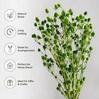Bouquet de fleurs séchées naturelles Jequirity Bean et Gipsofila pour la maison, les mariages, les remises de diplômes et les décorations de Noël - Nouveauté 2026, Vente Flash