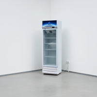 Réfrigérateur commercial 260L pour bar, avec porte vitrée et refroidissement par ventilateur, pour l'affichage de bières et sodas