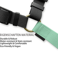 2026 Premium Beschichtetes Macaron Hellgrünes Wasserdichtes H-Strap Hundehalsband Verstellbares Hundehalsband-Geschirr-Leinen-Set