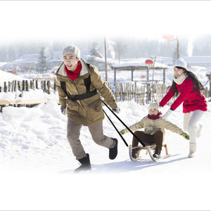 <span class=keywords><strong>Harnais</strong></span> de traction en acier, bande d'entraînement <span class=keywords><strong>pour</strong></span> le poids en plein air - Product Image 5