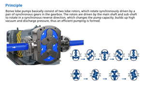Stainless Steel Positive Displacement <strong>Pump</strong> Rotary Lobe <strong>Pump</strong> High Viscosity <strong>Fluid</strong> <strong>Transfer</strong> <strong>Pumps</strong> - Product Image 4