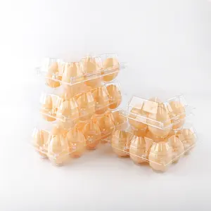 Quail egg tray 24 holes storage egg trays container for small egg
