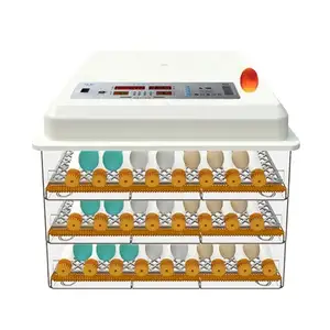 JT-176 Small Poultry Farm Use Single Power 176 Eggs Hatching Automatic High Hatching rate Egg Incubator