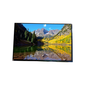 PANTALLA LCD PANELCELL FOB 8.0 PULGADAS 1280RGB*800 WXGA 188PPI BP080WX7-100 Pantalla LCD de Alta Calidad para Tablet - Product Image 2