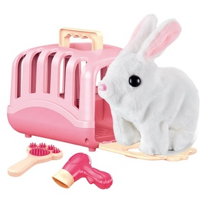 Ensemble de jeu de rôle vétérinaire pour enfants KSF, lapin en peluche, cage pour animaux de compagnie, jeu de simulation intérieur pour enfants - Product Image 1