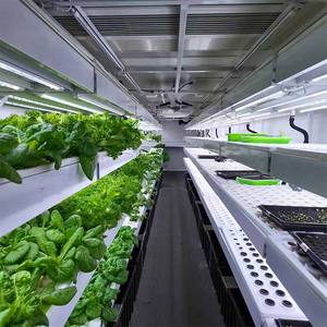 Contenedor Hidropónico de 40 pies para Cultivo de Vegetales de Hoja - Sistema de Agricultura Vertical de Acero Inoxidable 304 de Grado Alimenticio con Luces LED - Product Image 6