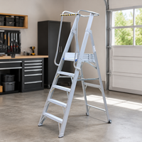 Échelle pliante industrielle en aluminium robuste, antidérapante, certifiée CE, capacité de charge de 150 kg, pour salle de sport, escalier, supermarché
