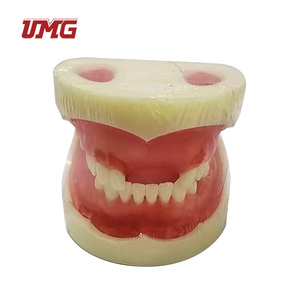 Modelo de práctica de dentista Tipo II Dureza Modelo de práctica de implante de enseñanza dental - Product Image 3