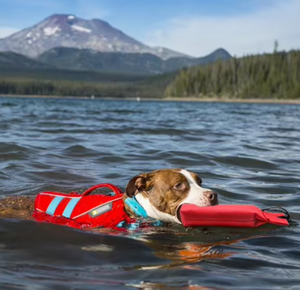 Hot-Selling Training Hond Kauwstok Speelgoed Waterdichte Duurzame Oxford Doek & Rookloze Houtsnippers Bijtkracht - Product Image 1